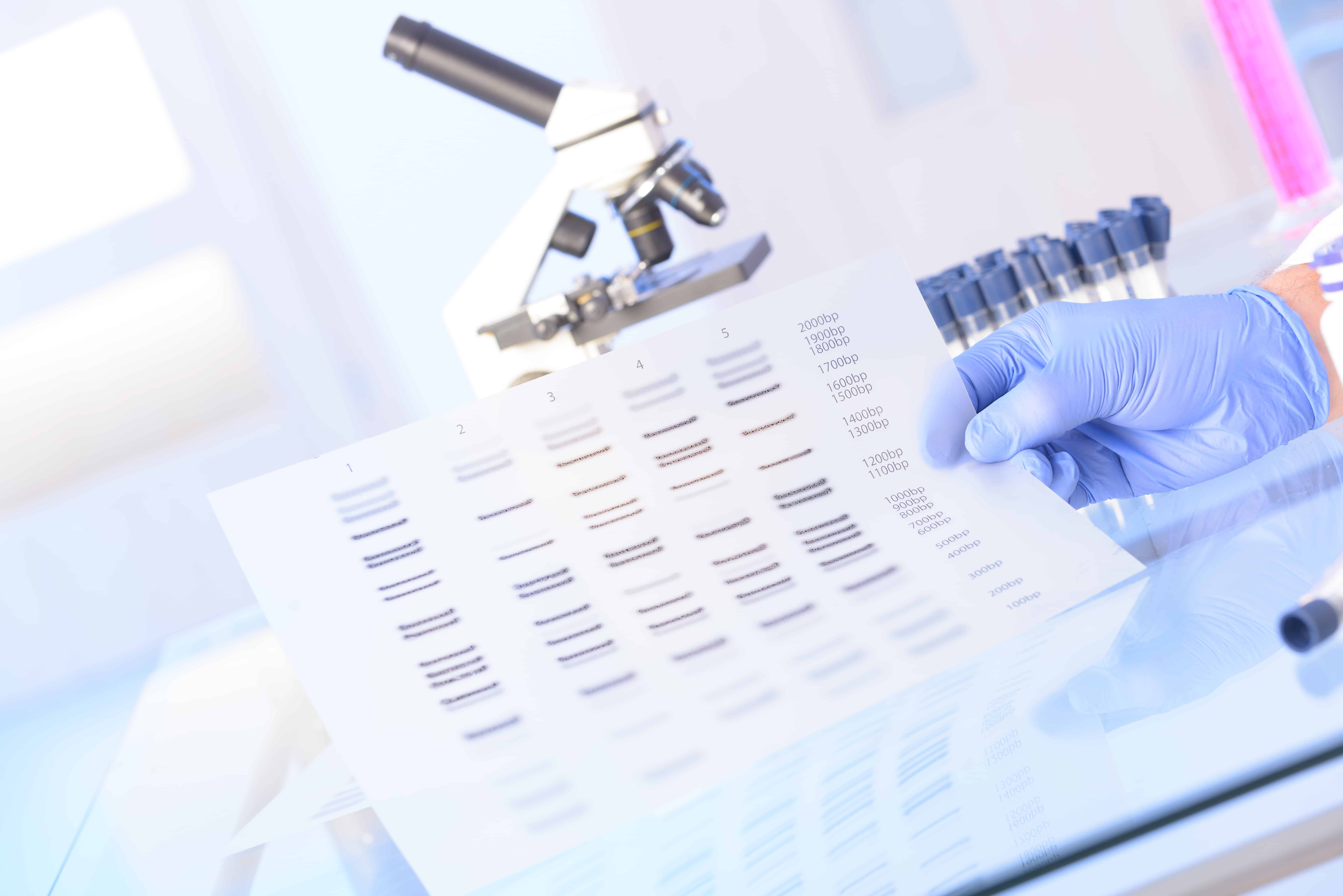 Paternity Lawyers in Ogden Utah