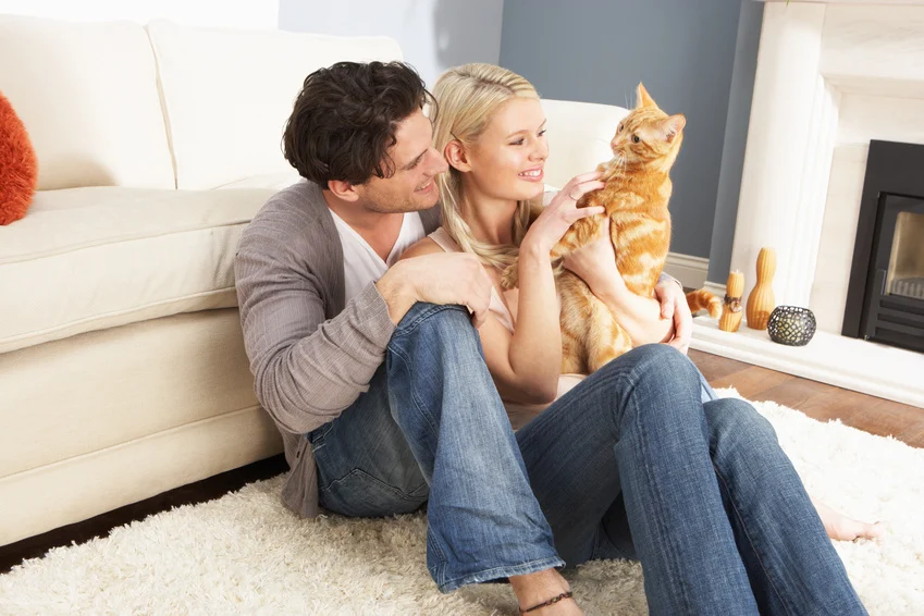 Pet Custody: Who Keeps The Pets After Divorce