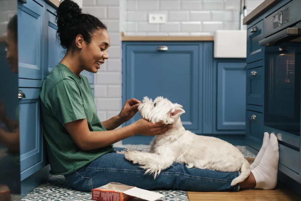 Pet Custody: Who Keeps The Pets After Divorce